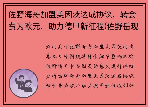 佐野海舟加盟美因茨达成协议，转会费为欧元，助力德甲新征程(佐野岳现状)